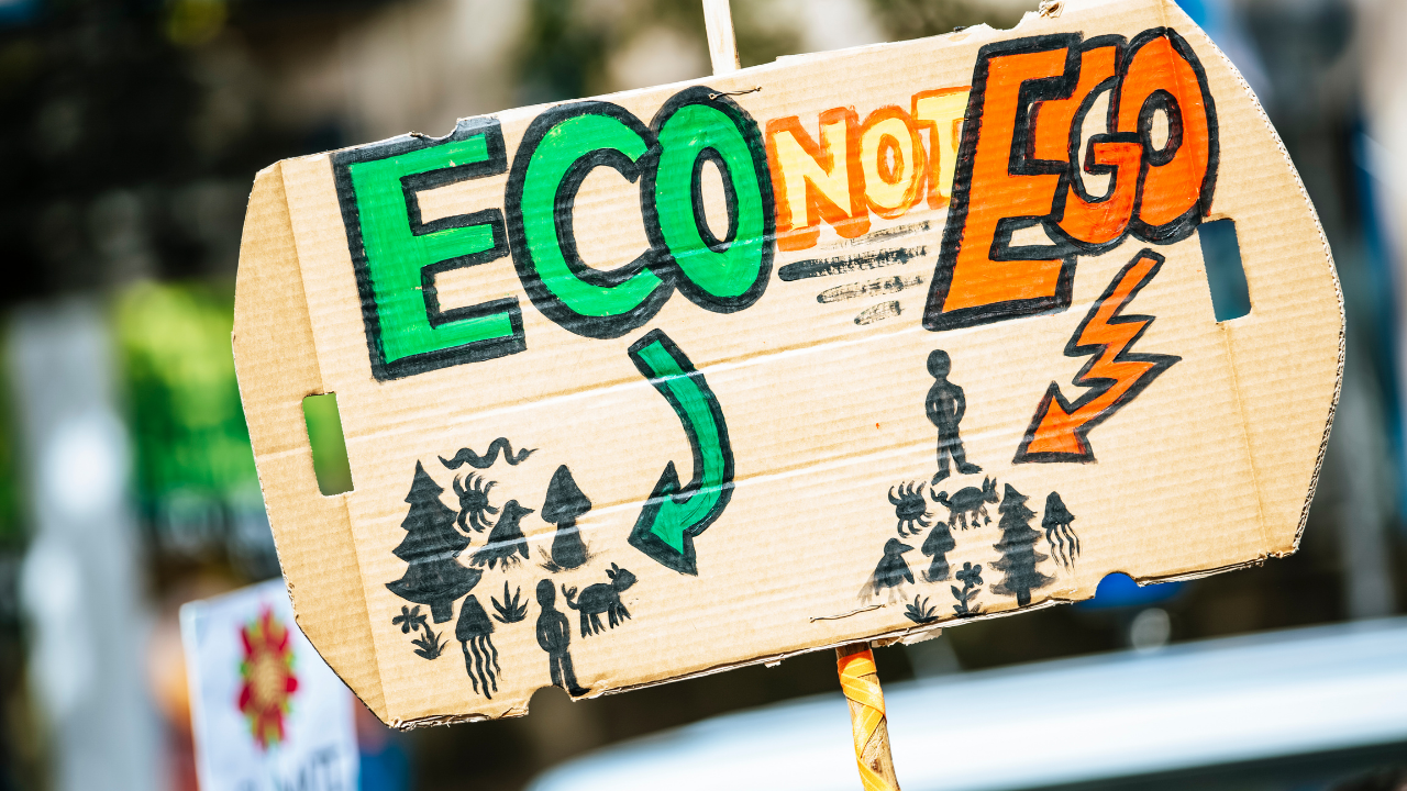 Cardboard protest signs says "ECO NOT EGO"