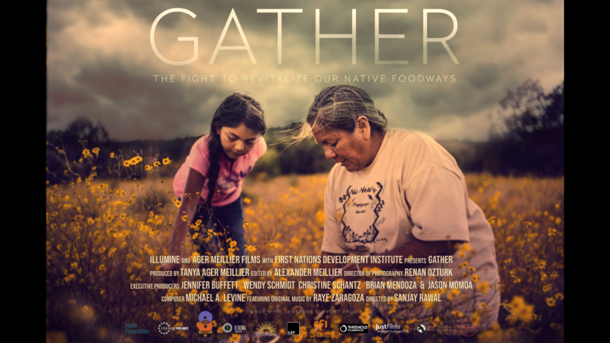 Gather Documentary cover